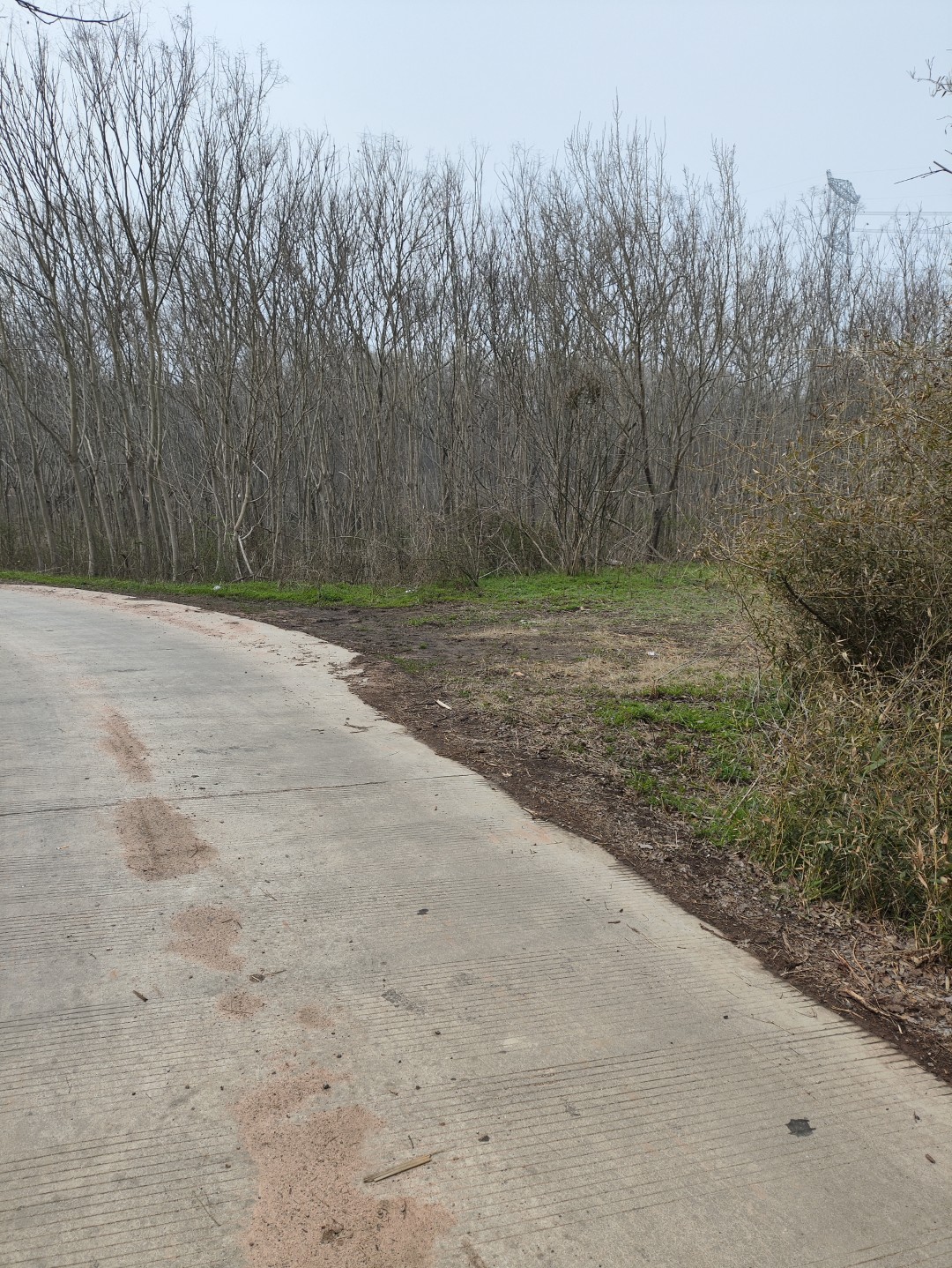 IMG_20260320_104509 (大).jpg