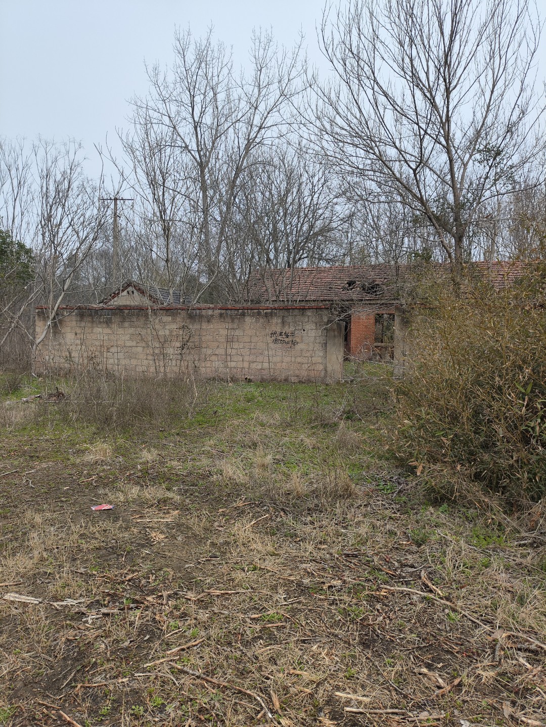 IMG_20260320_104615 (大).jpg