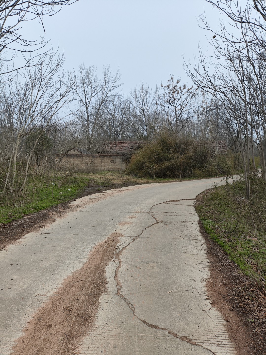 IMG_20260320_103144 (大).jpg