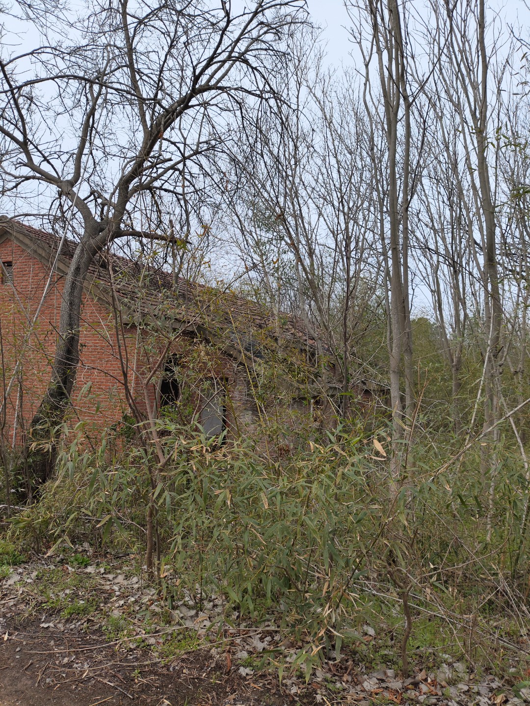 IMG_20260320_104443 (大).jpg