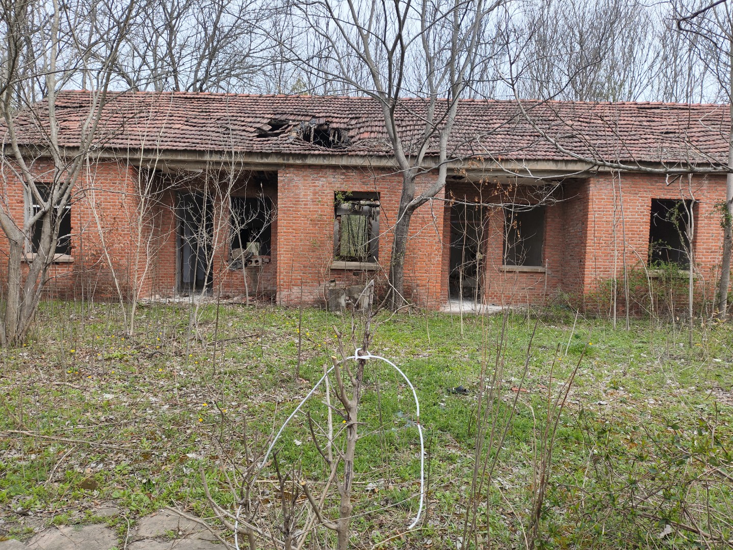 IMG_20260320_104642 (大).jpg