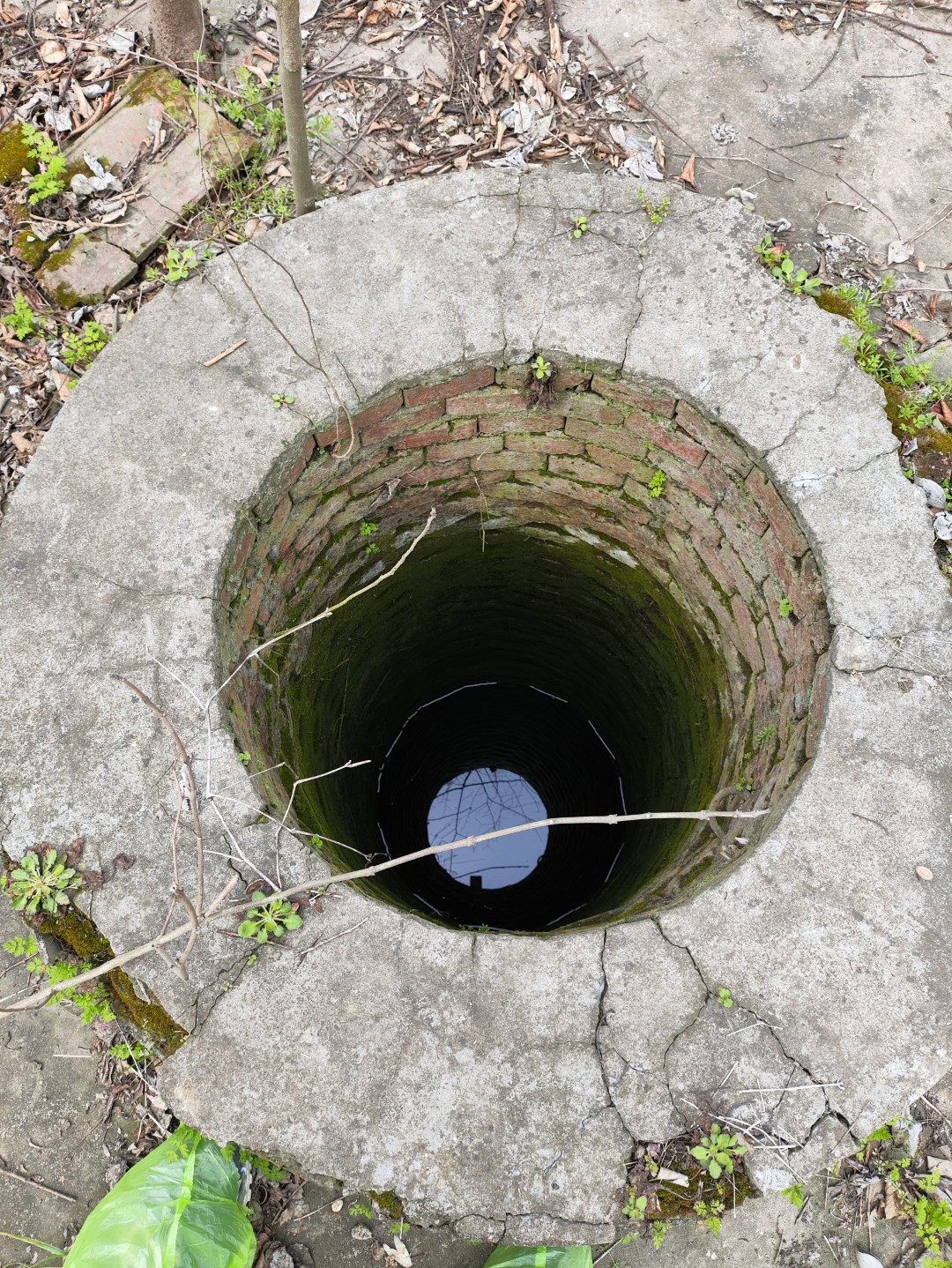 IMG_20260320_104649 (大).jpg