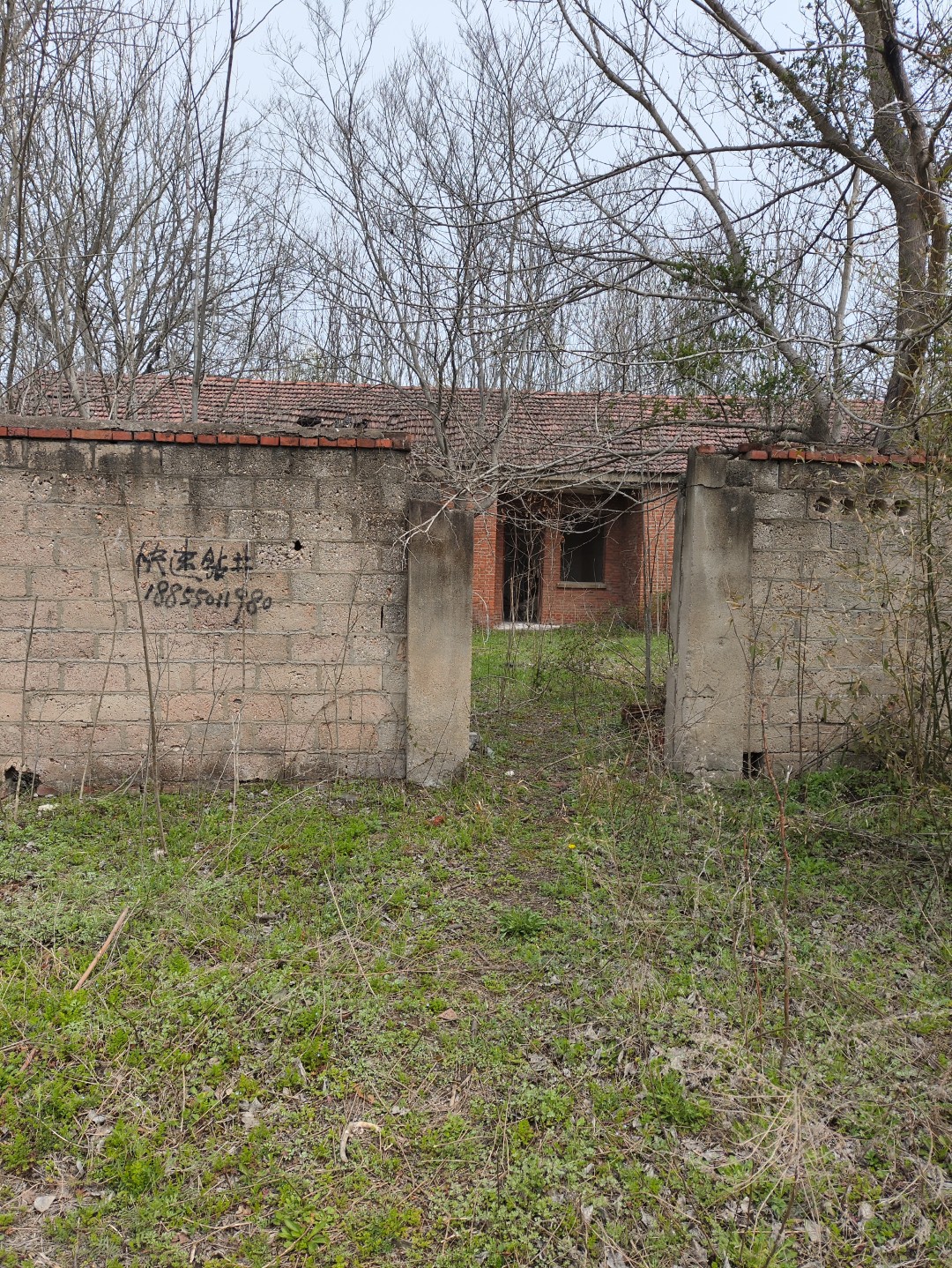 IMG_20260320_104628 (大).jpg