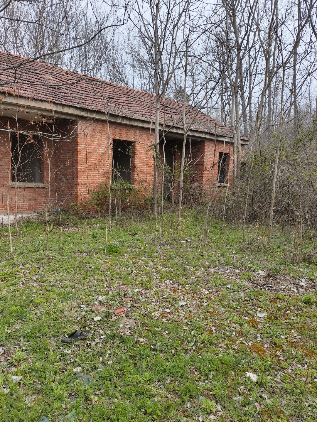 IMG_20260320_104657 (大).jpg