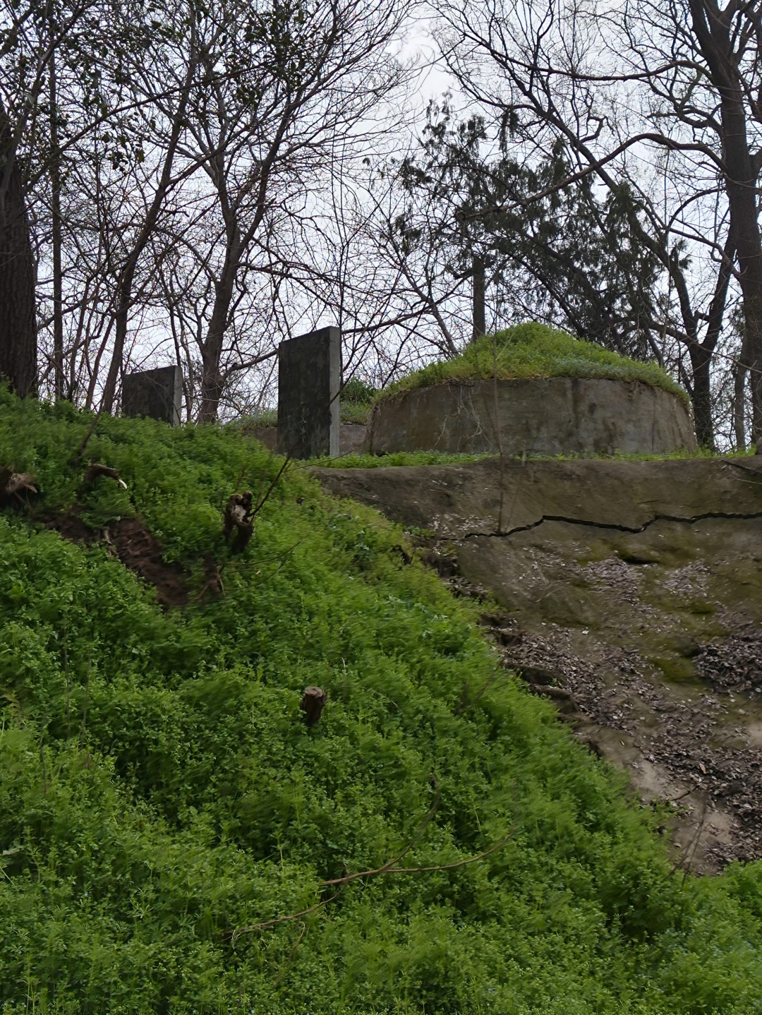 IMG_20260320_105513 (大).jpg