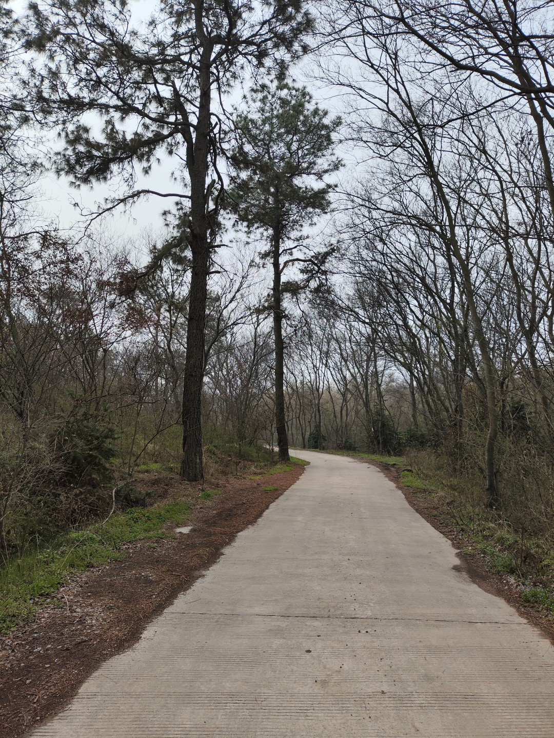 IMG_20260320_103040 (大).jpg