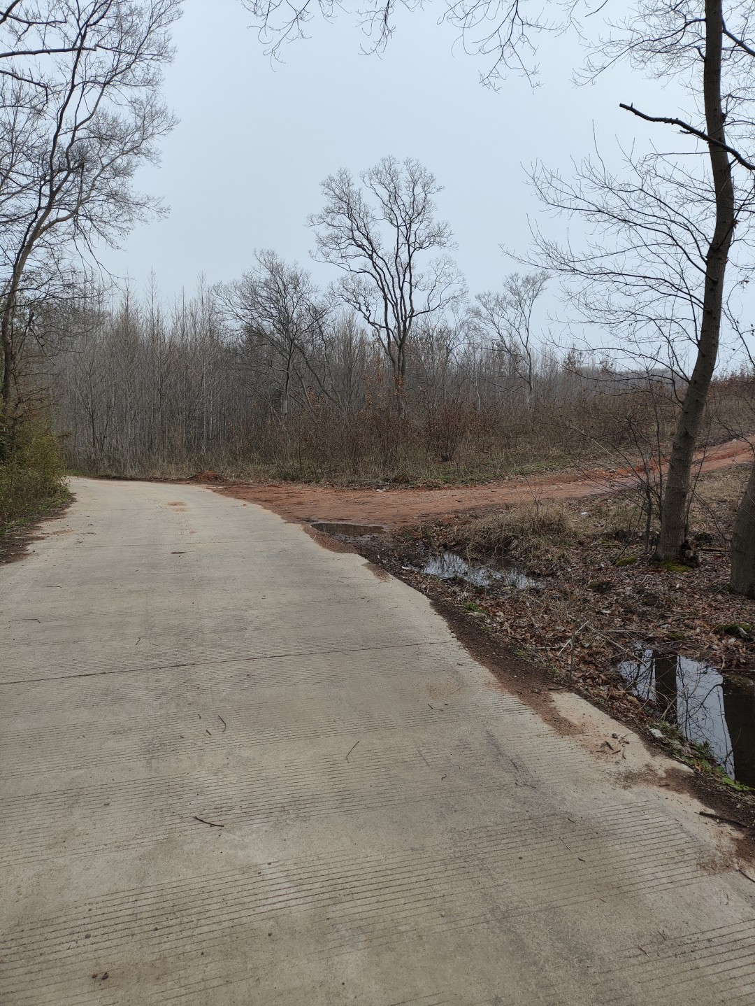 IMG_20260320_103104 (大).jpg