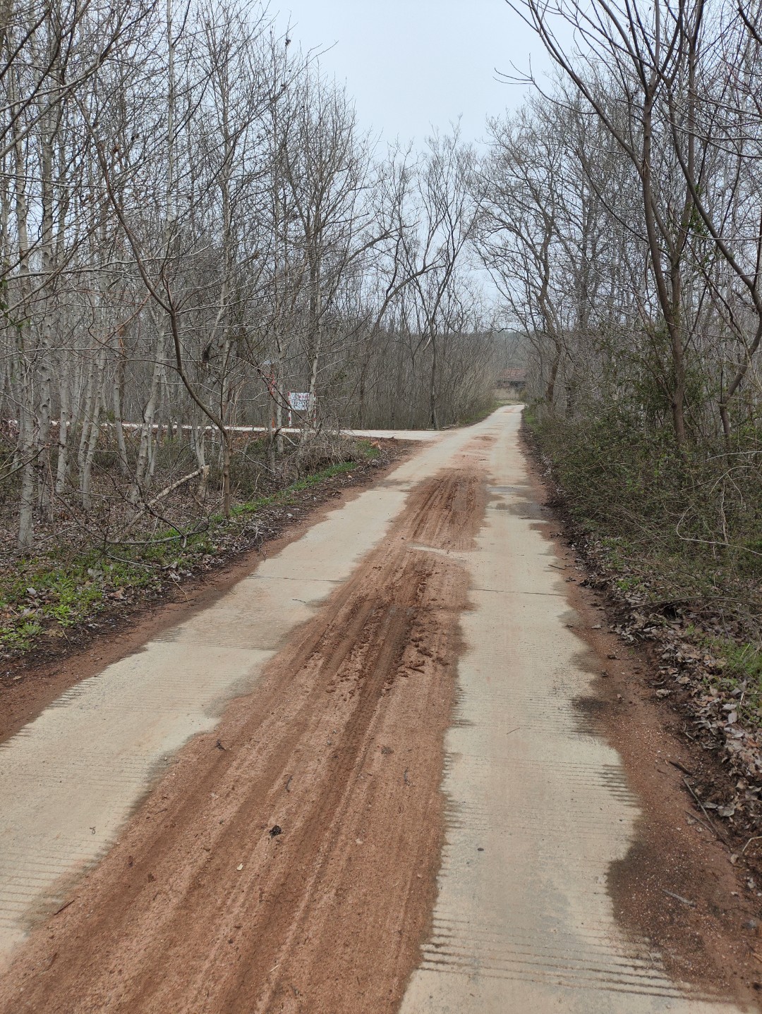 IMG_20260320_103120 (大).jpg