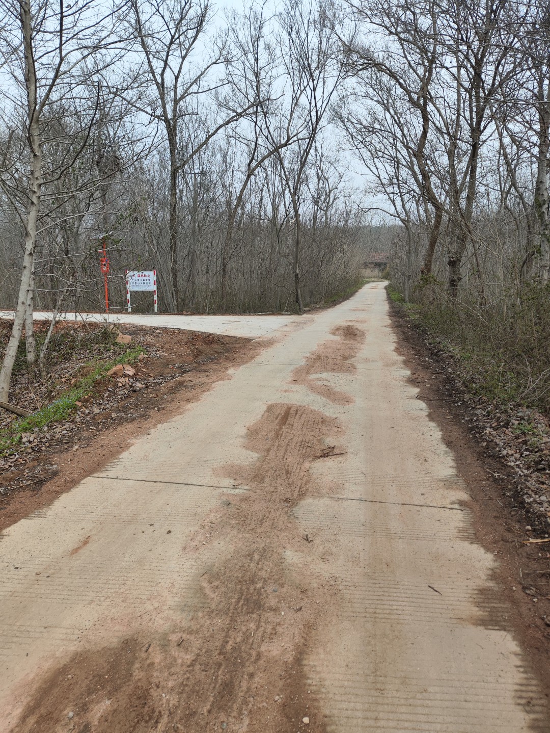 IMG_20260320_103122 (大).jpg