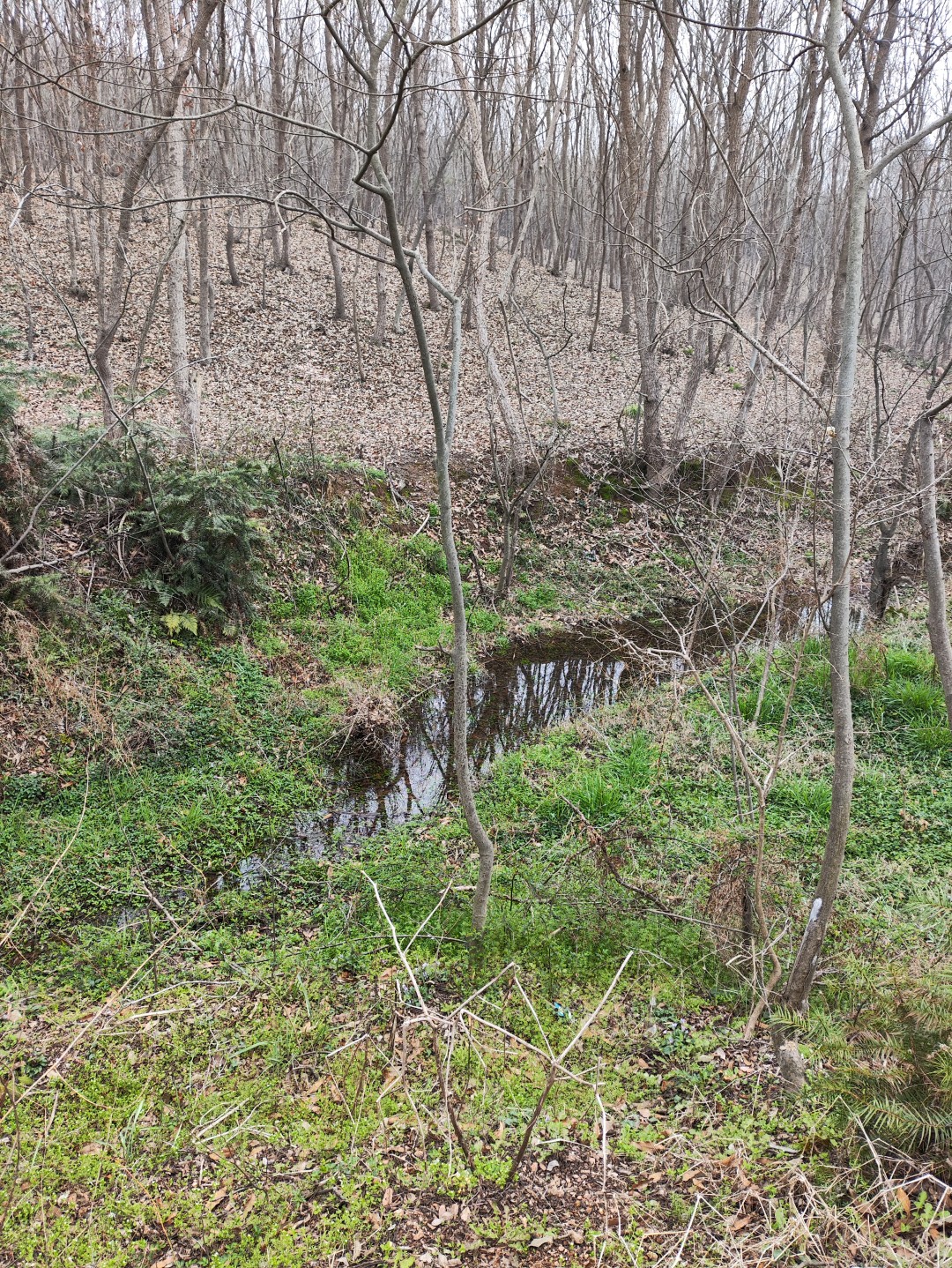 IMG_20260320_105411 (大).jpg