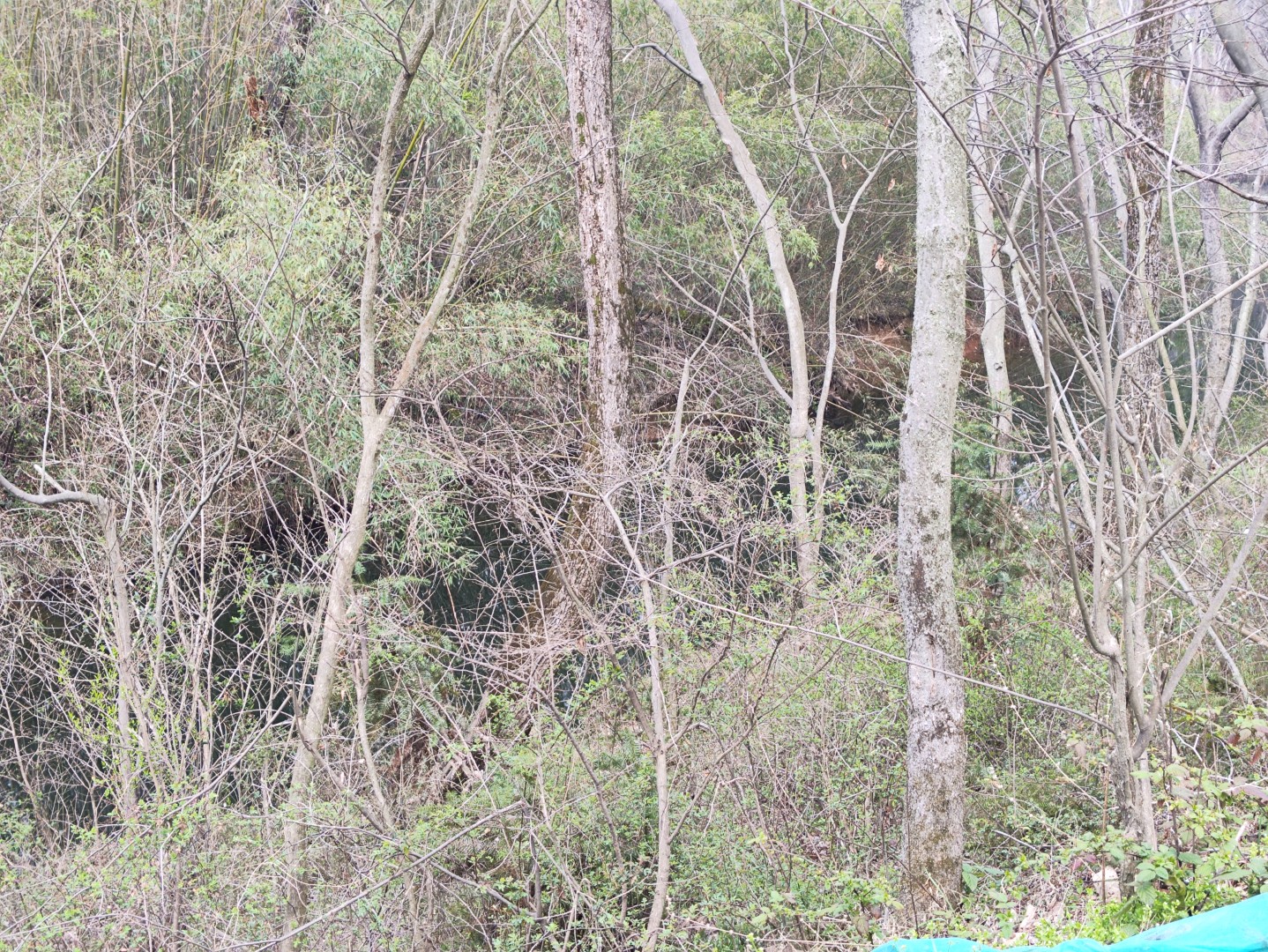 IMG_20260320_103009 (大).jpg