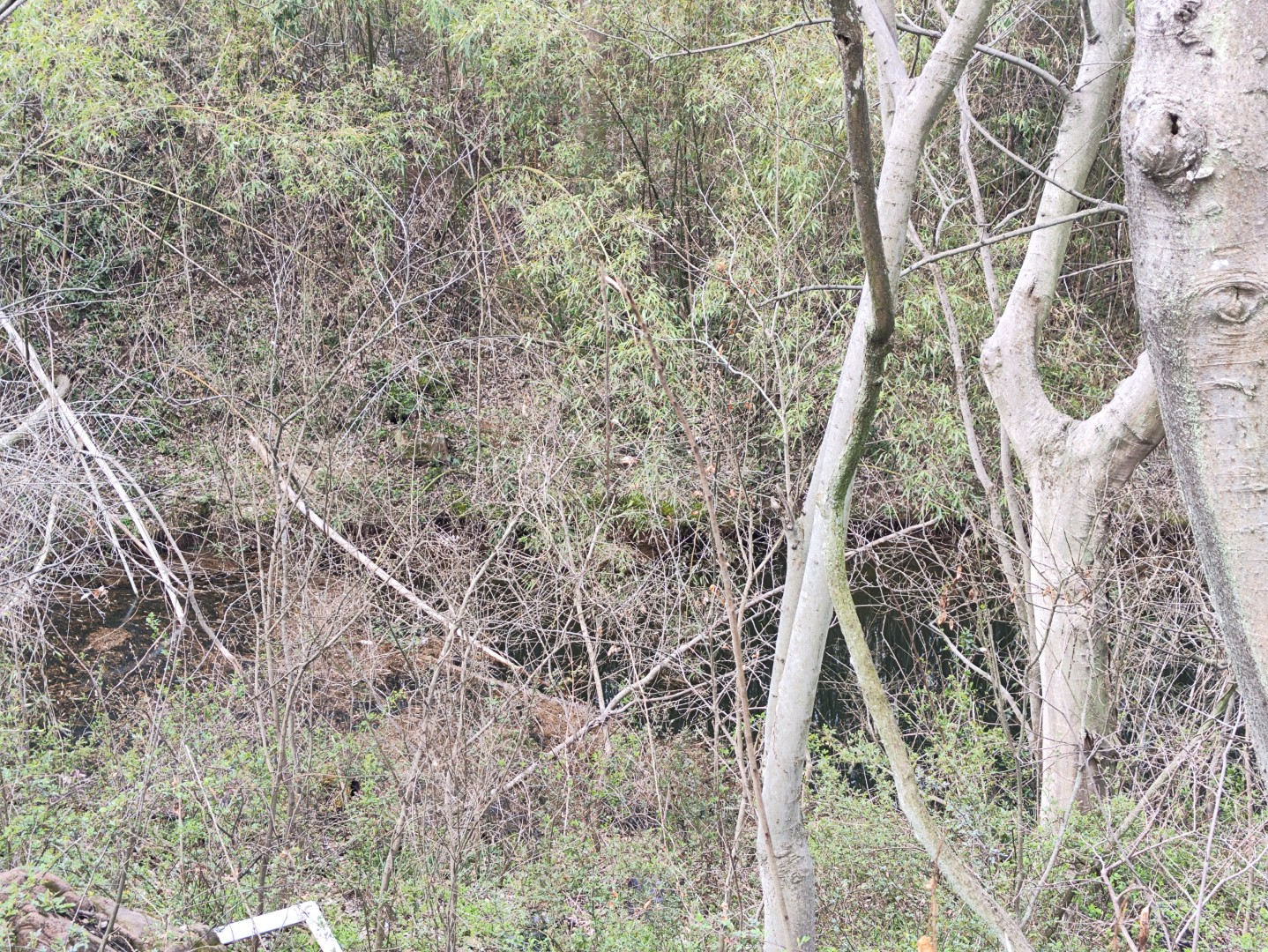 IMG_20260320_103005 (大).jpg