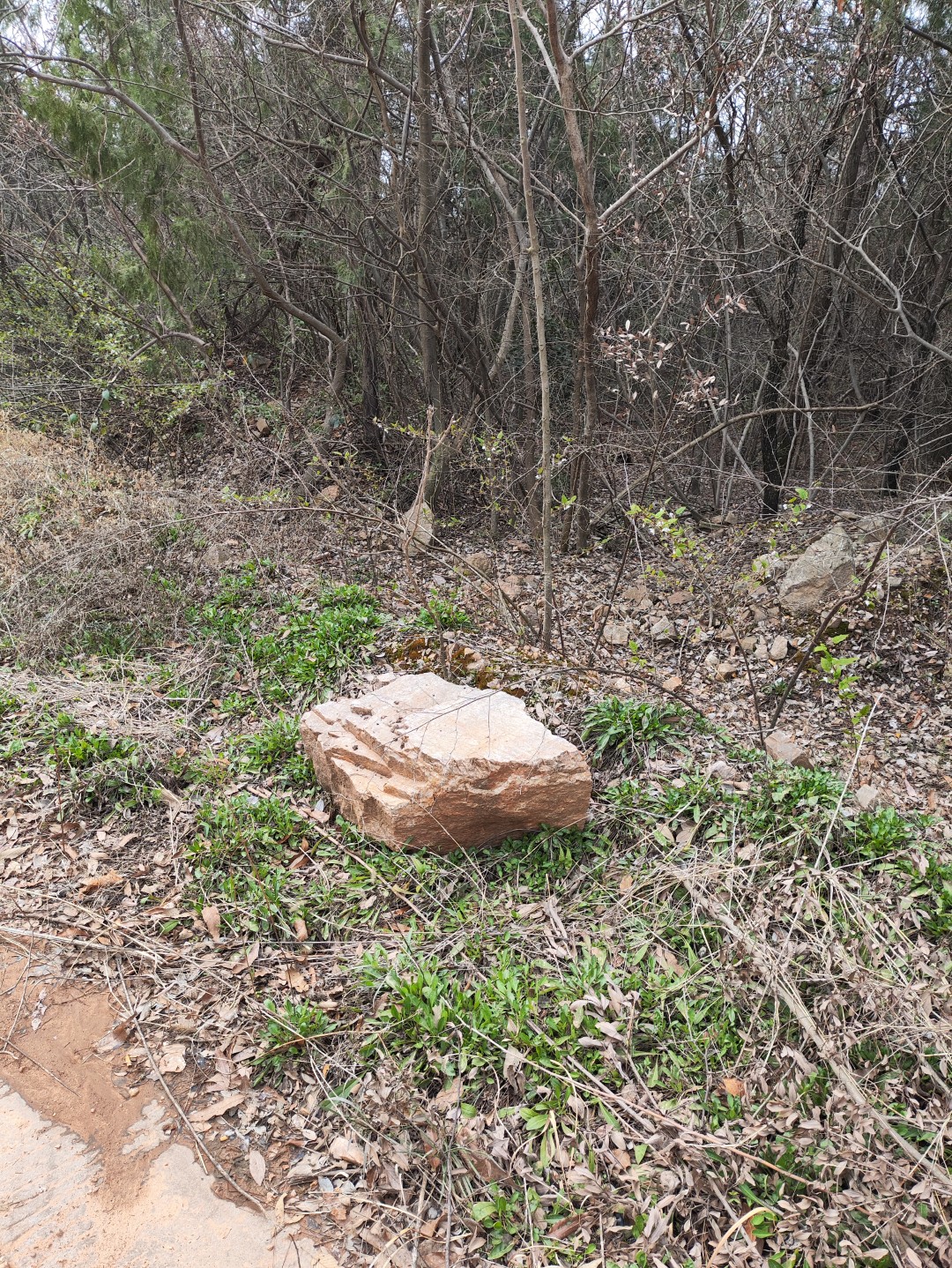 IMG_20260320_102542 (大).jpg