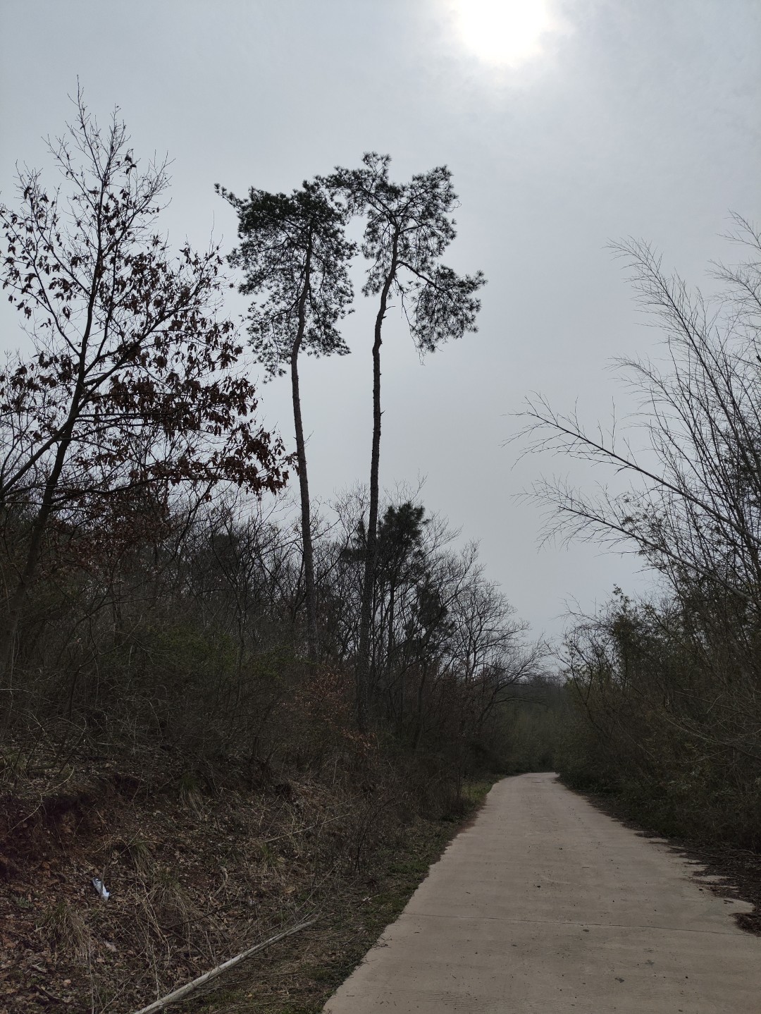 IMG_20260320_105304 (大).jpg