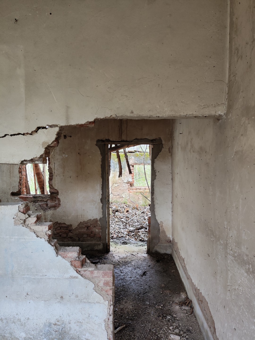 IMG_20260320_104927 (大).jpg