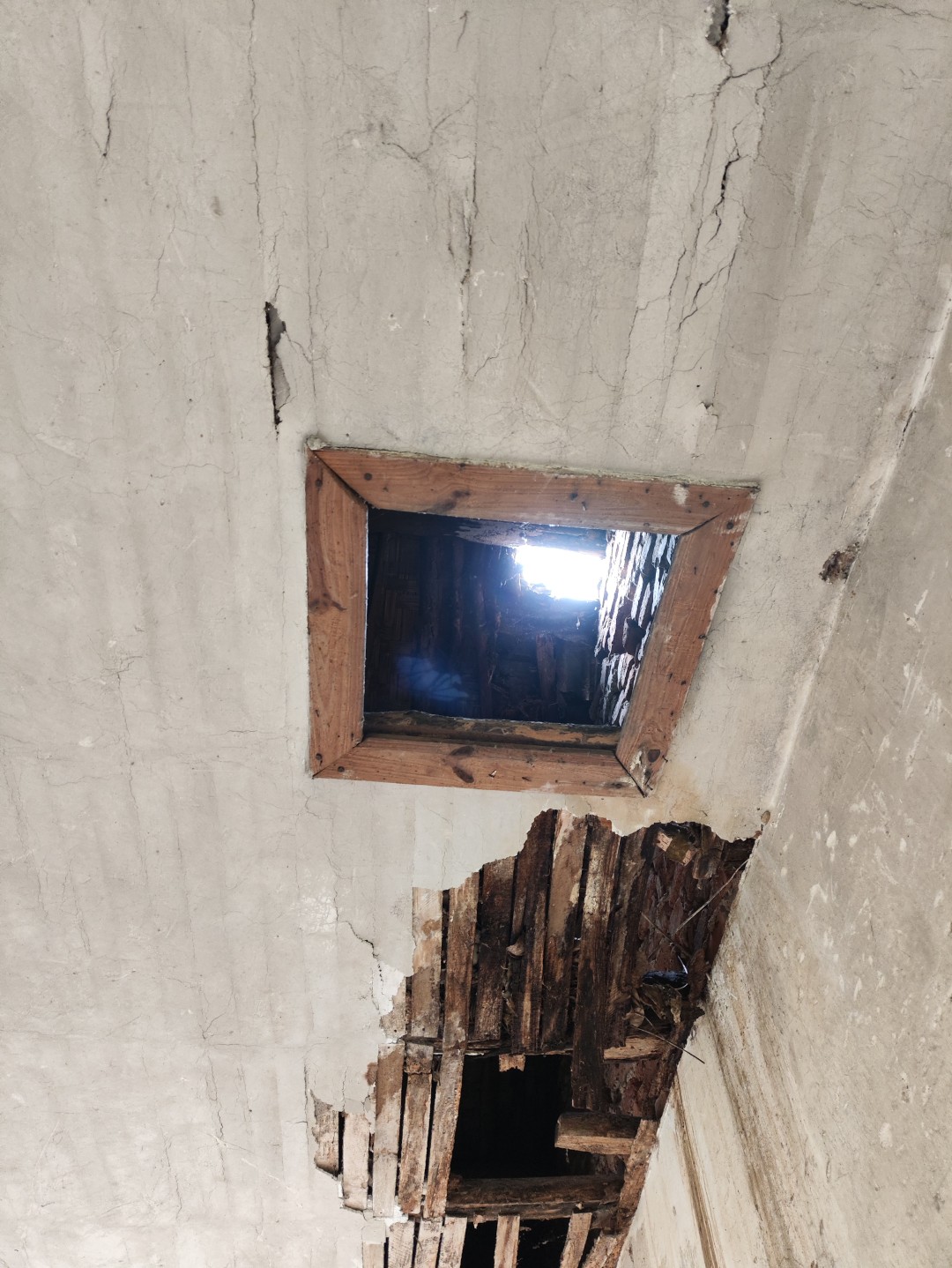 IMG_20260320_104857 (大).jpg