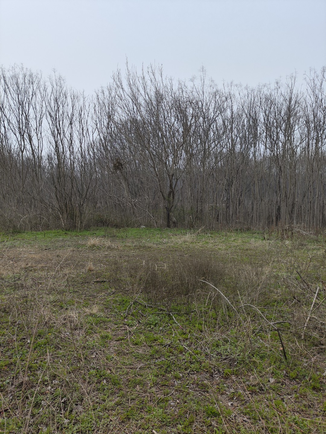 IMG_20260320_105008 (大).jpg