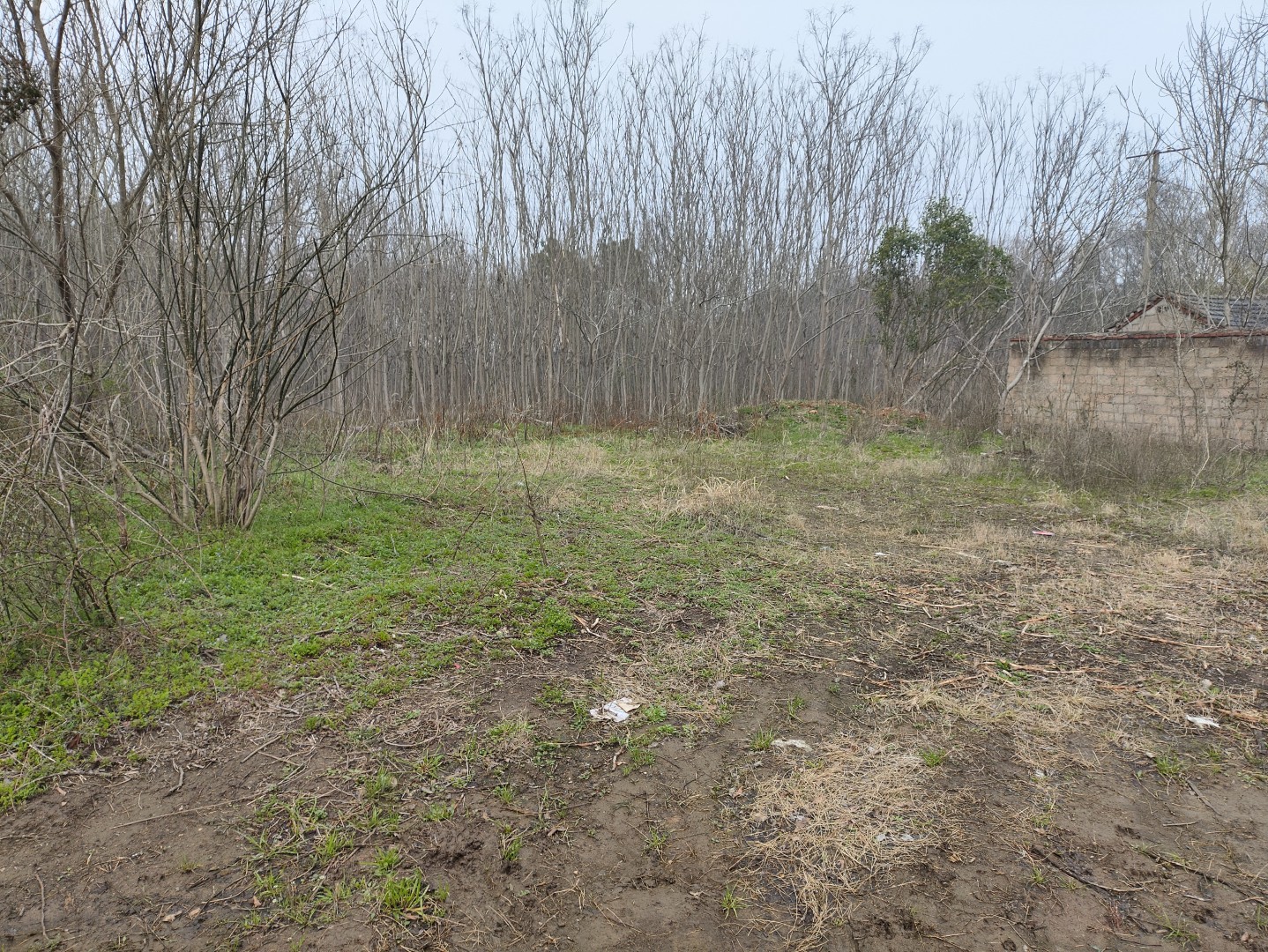 IMG_20260320_104553 (大).jpg