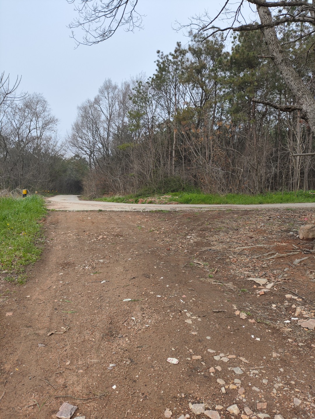 IMG_20260320_104320 (大).jpg