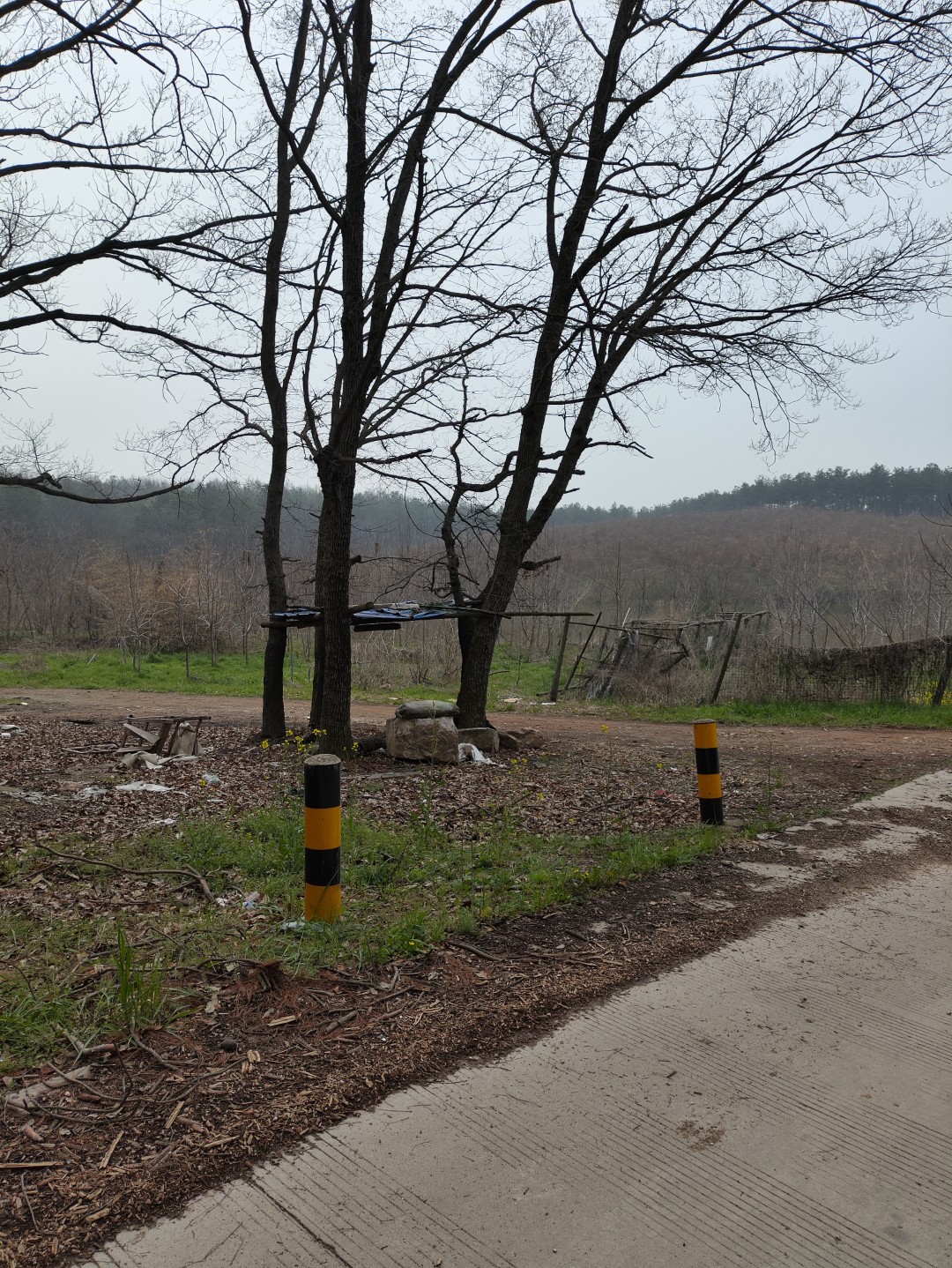 IMG_20260320_103410 (大).jpg