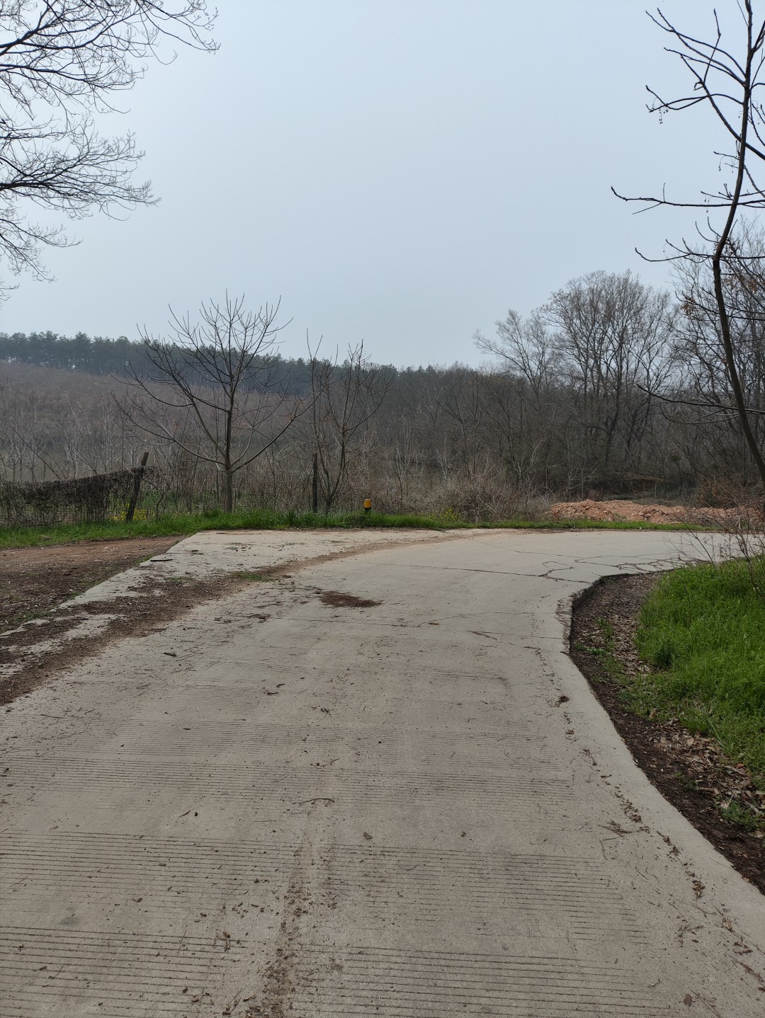 IMG_20260320_103413 (大).jpg