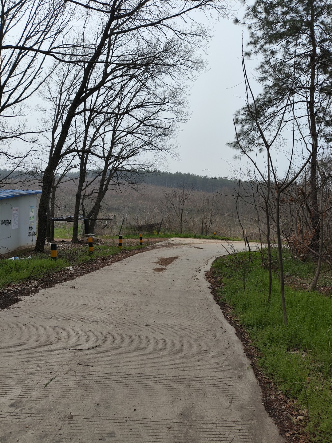 IMG_20260320_103357 (大).jpg