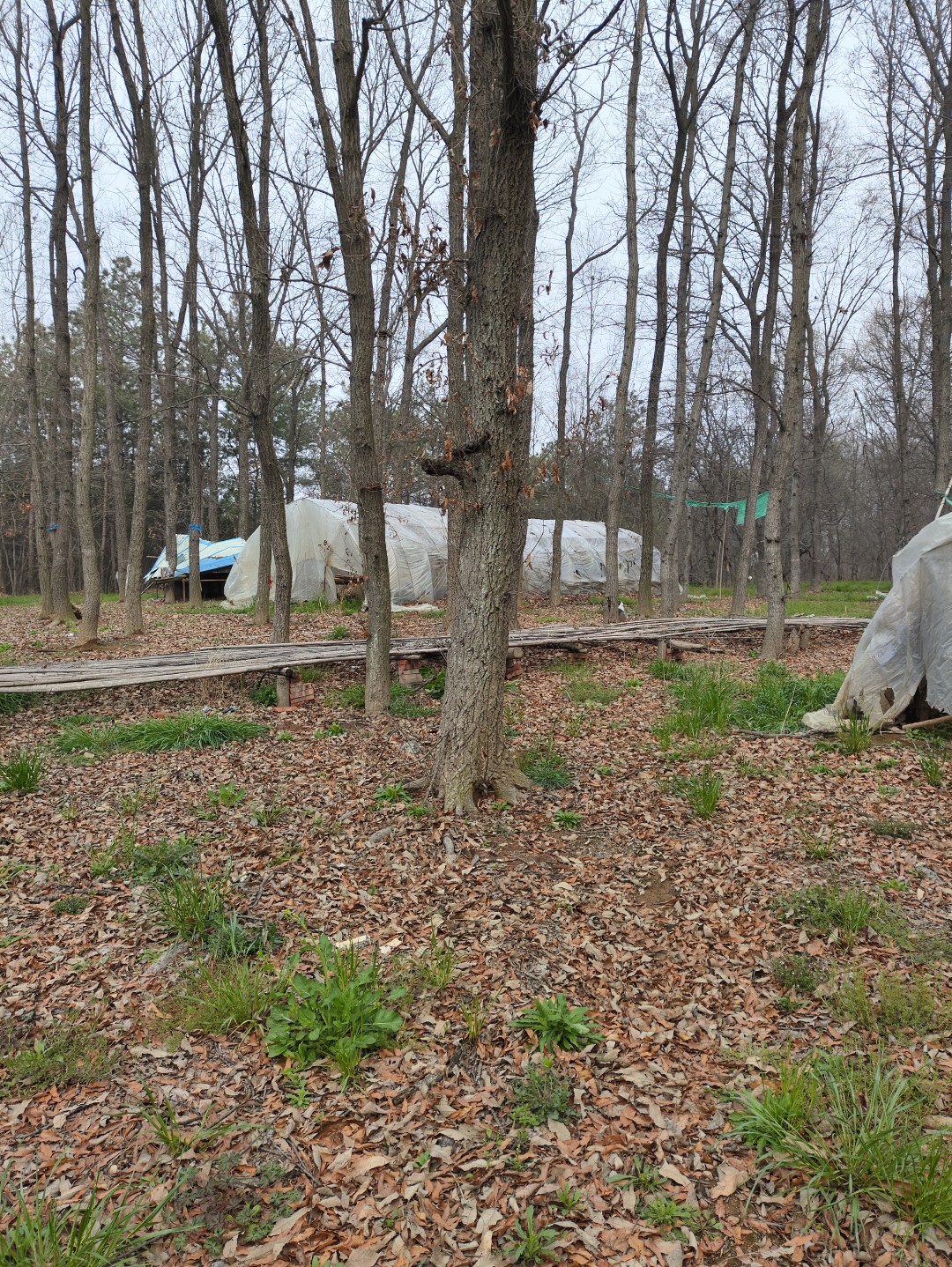 IMG_20260320_104009 (大).jpg