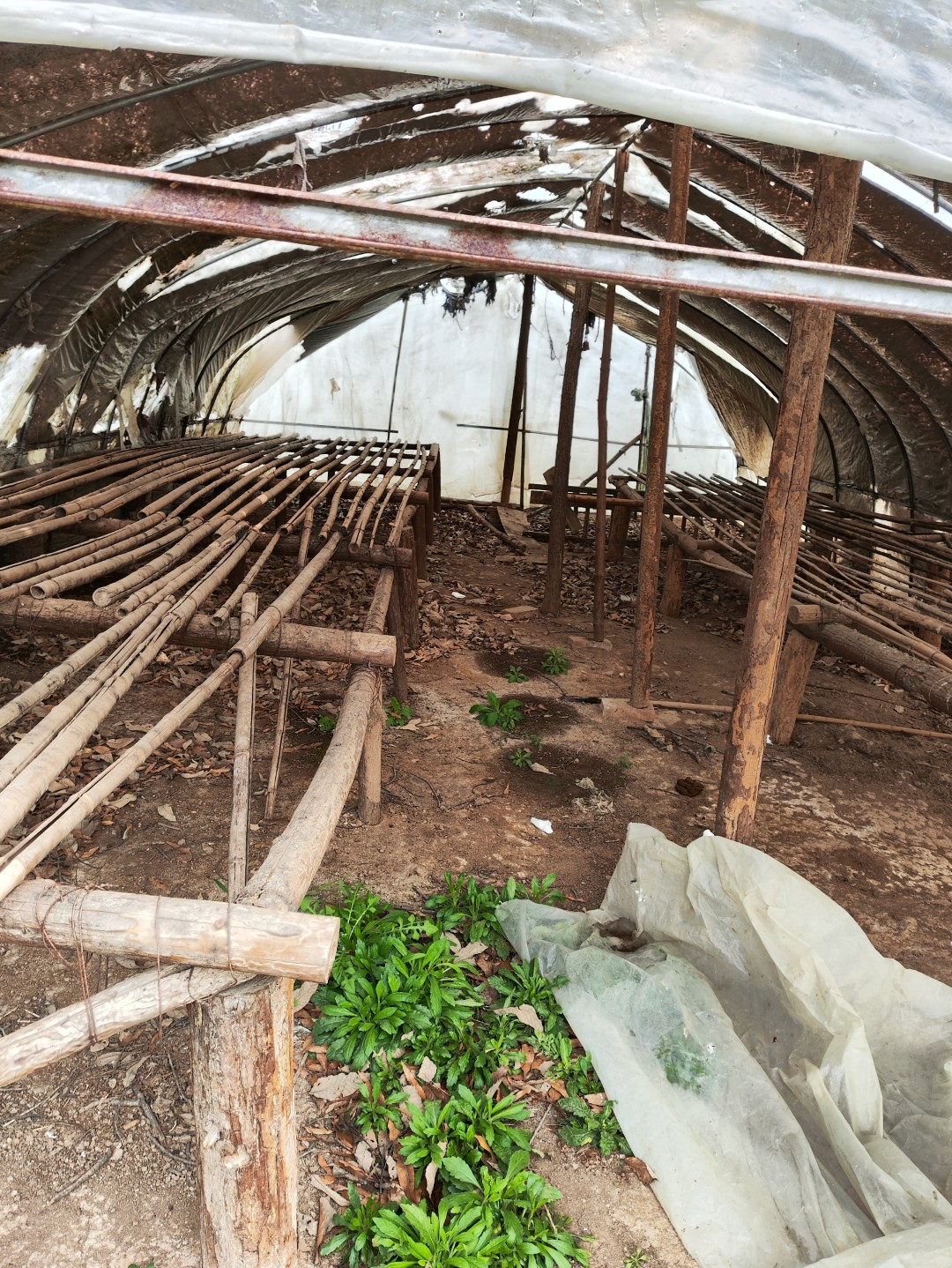 IMG_20260320_104027 (大).jpg