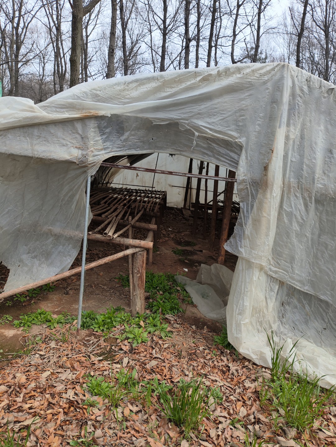 IMG_20260320_104020 (大).jpg