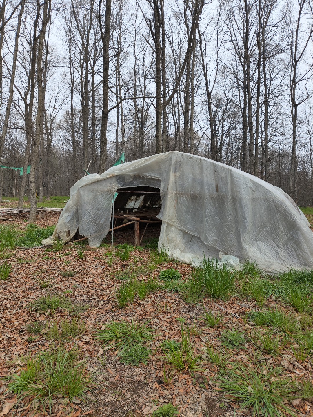 IMG_20260320_104010 (大).jpg