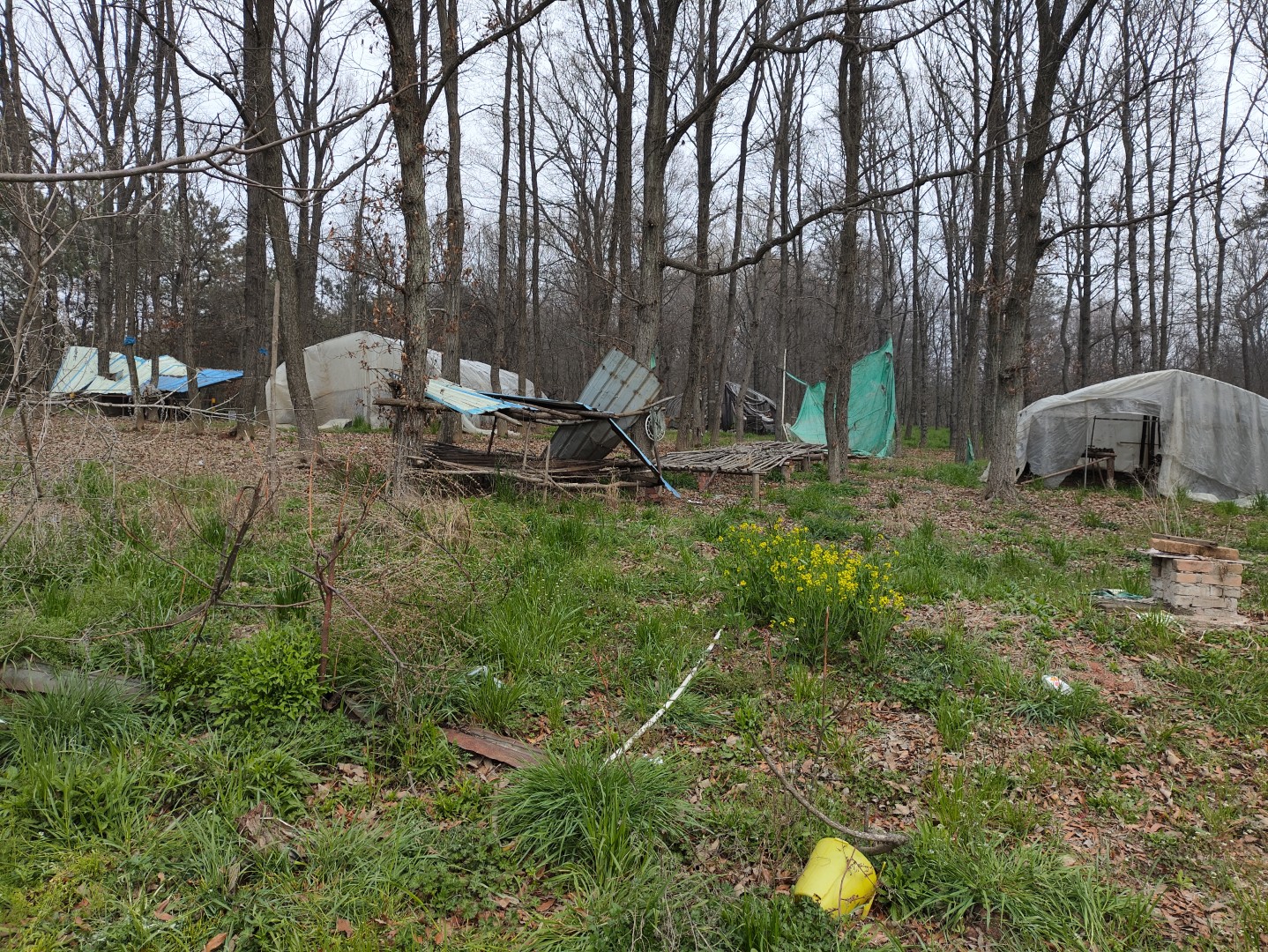 IMG_20260320_103501 (大).jpg