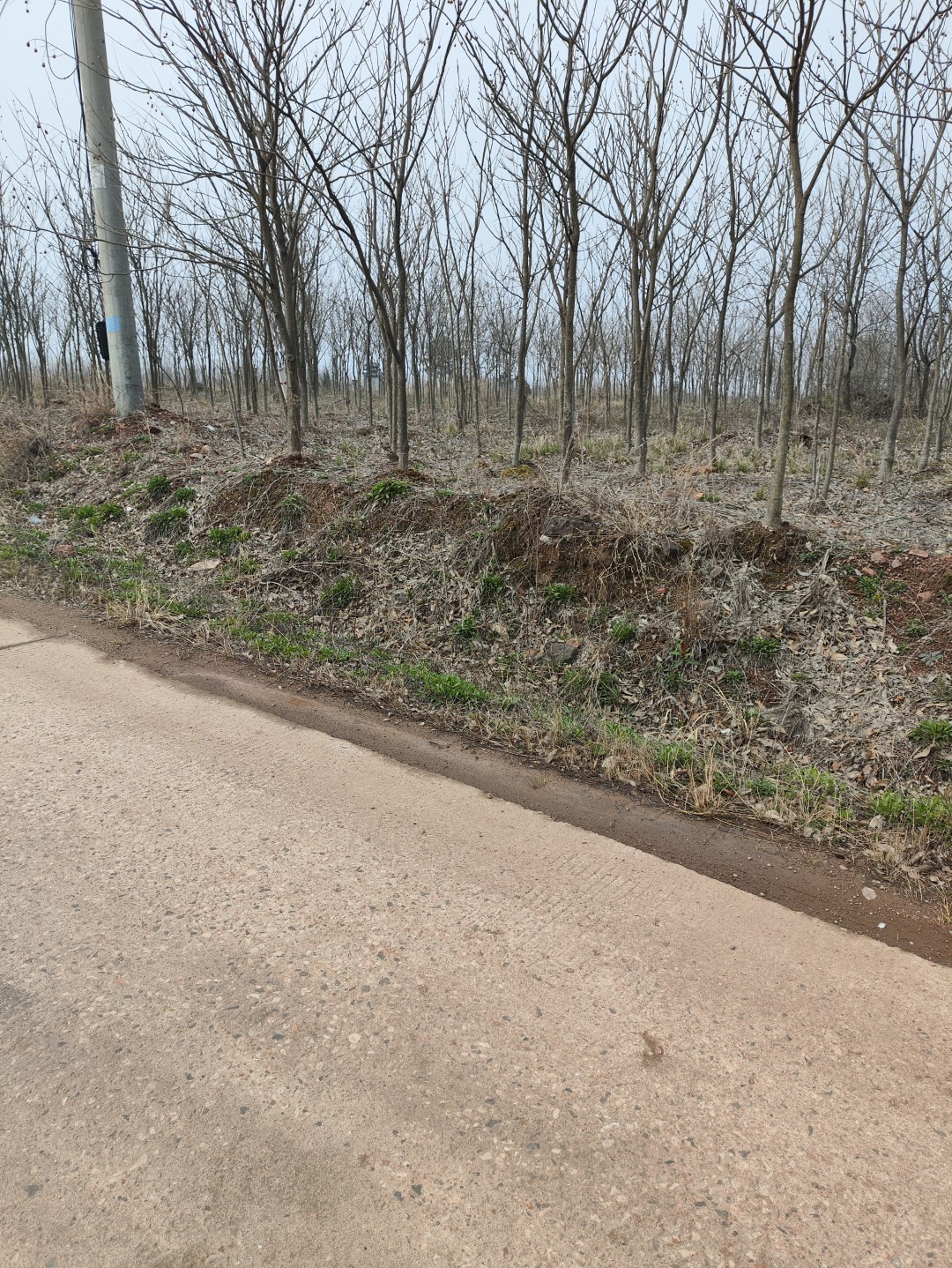 IMG_20260320_101520 (大).jpg