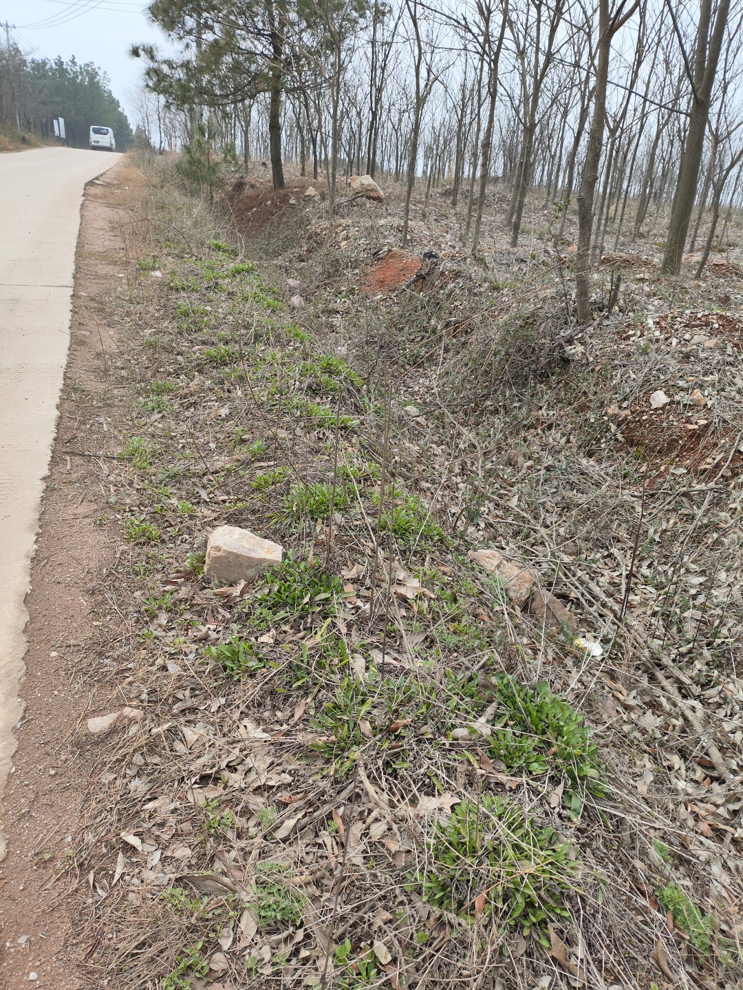 IMG_20260320_110400 (大).jpg