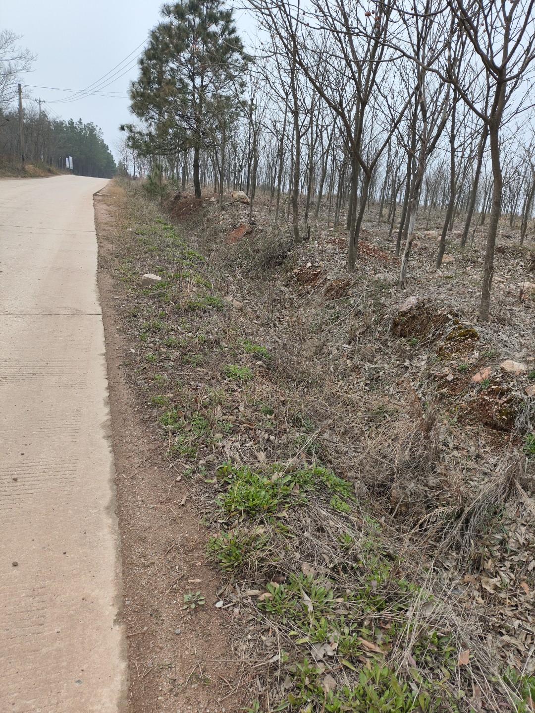 IMG_20260320_110352 (大).jpg