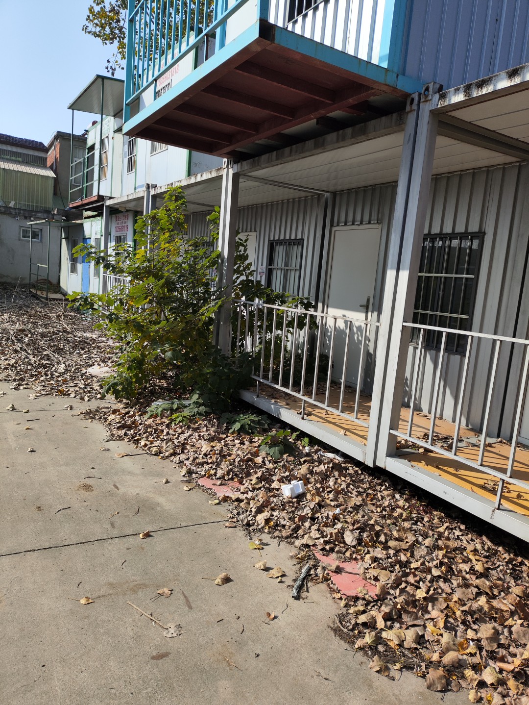 IMG_20251102_135438 (大).jpg