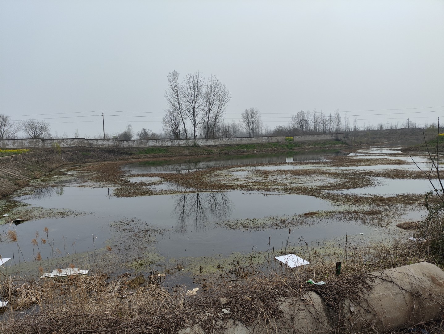 IMG_20260320_112728 (大).jpg