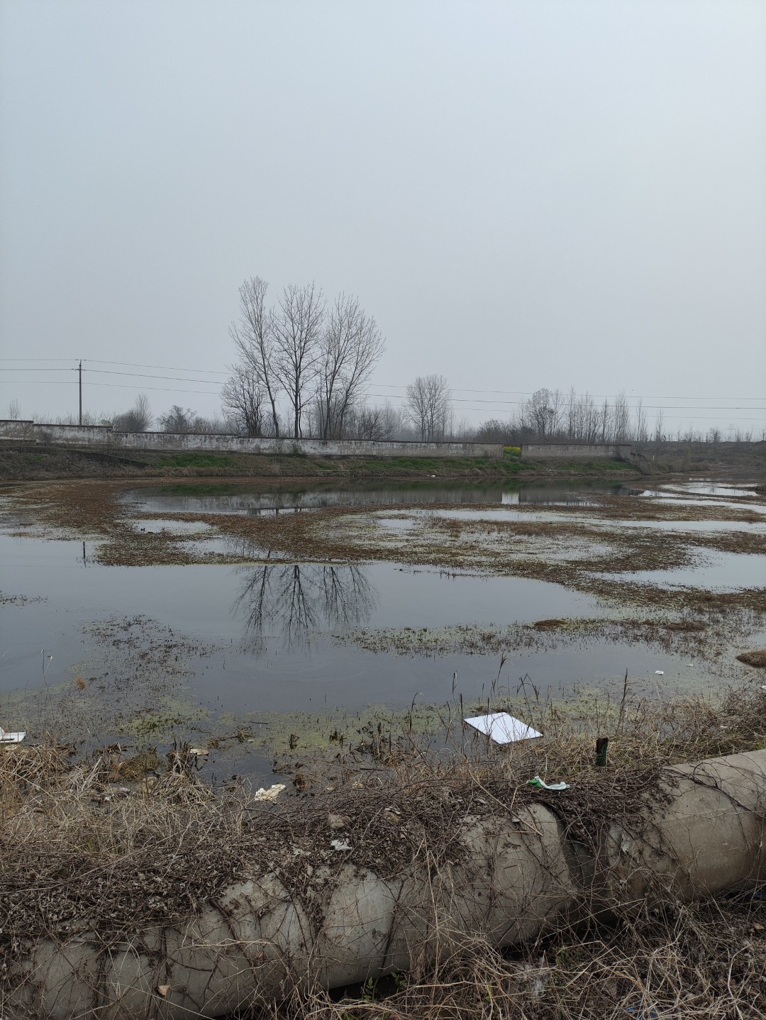 IMG_20260320_112731 (大).jpg