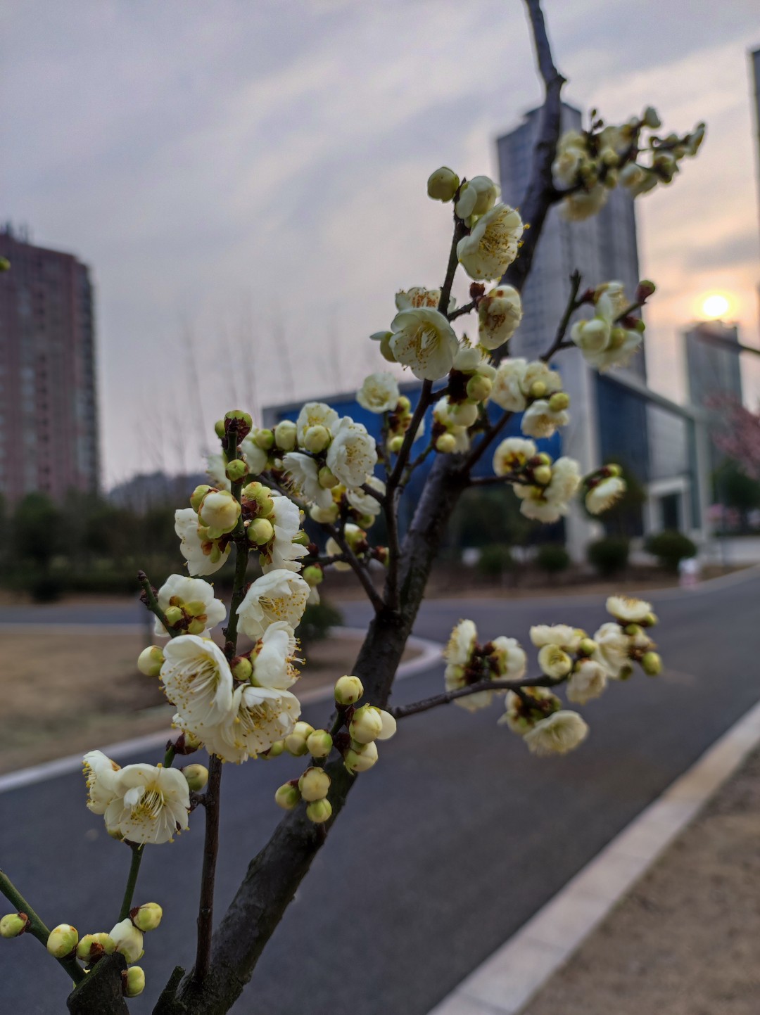 1775042283758972.jpg IMG_20230301_165200 (大).jpg