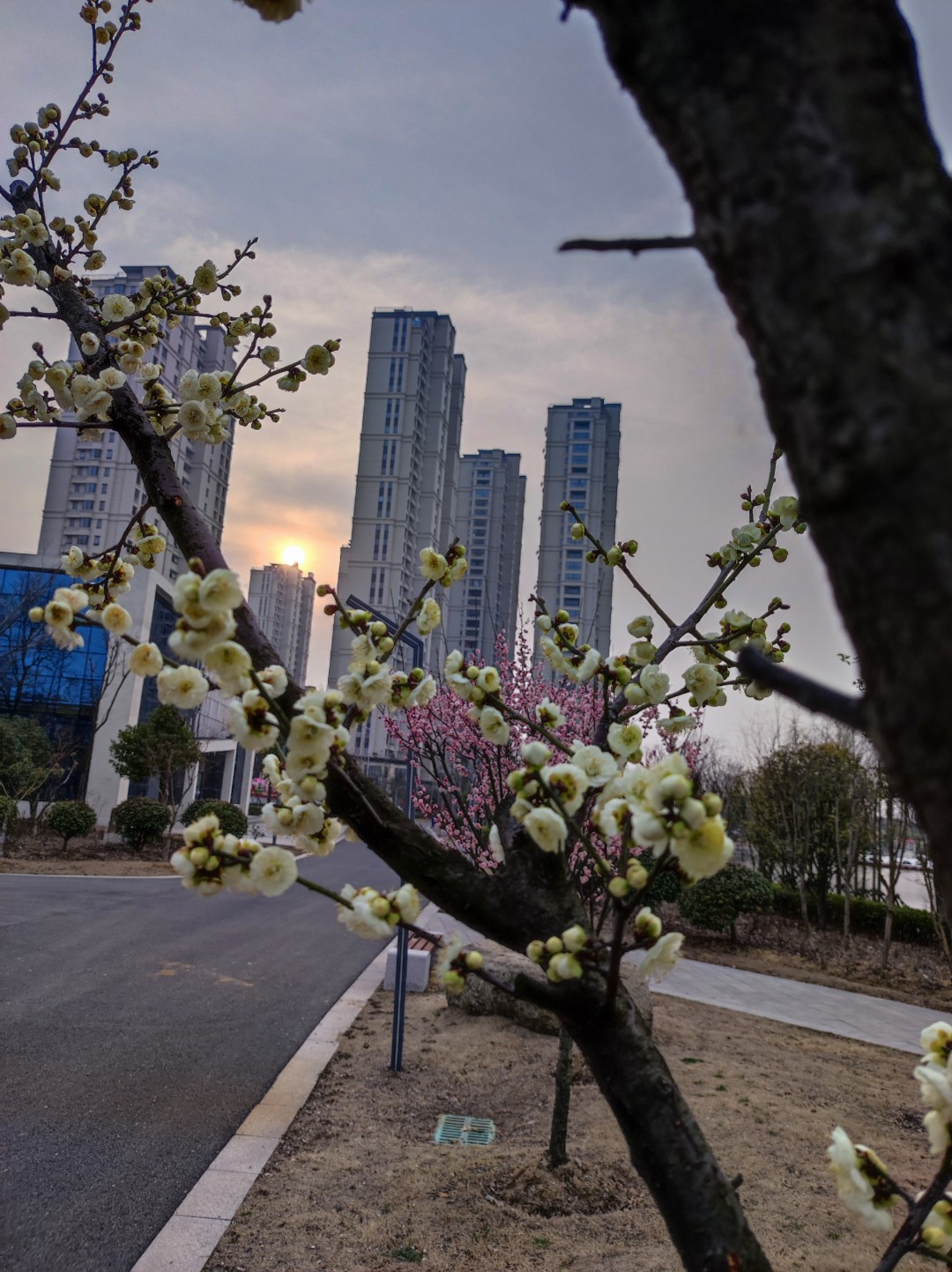 1775042284911082.jpg IMG_20230301_165243 (大).jpg