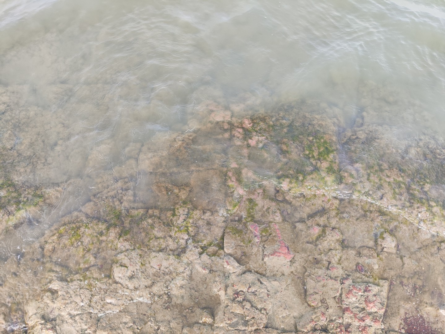 1776503287867189.jpg IMG_20250906_160420 (大).jpg