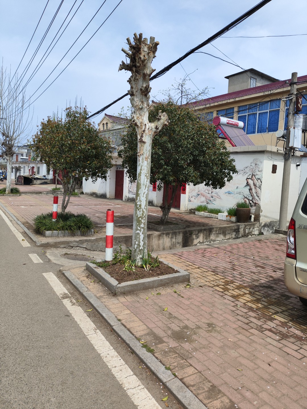 IMG_20260402_124402 (大).jpg