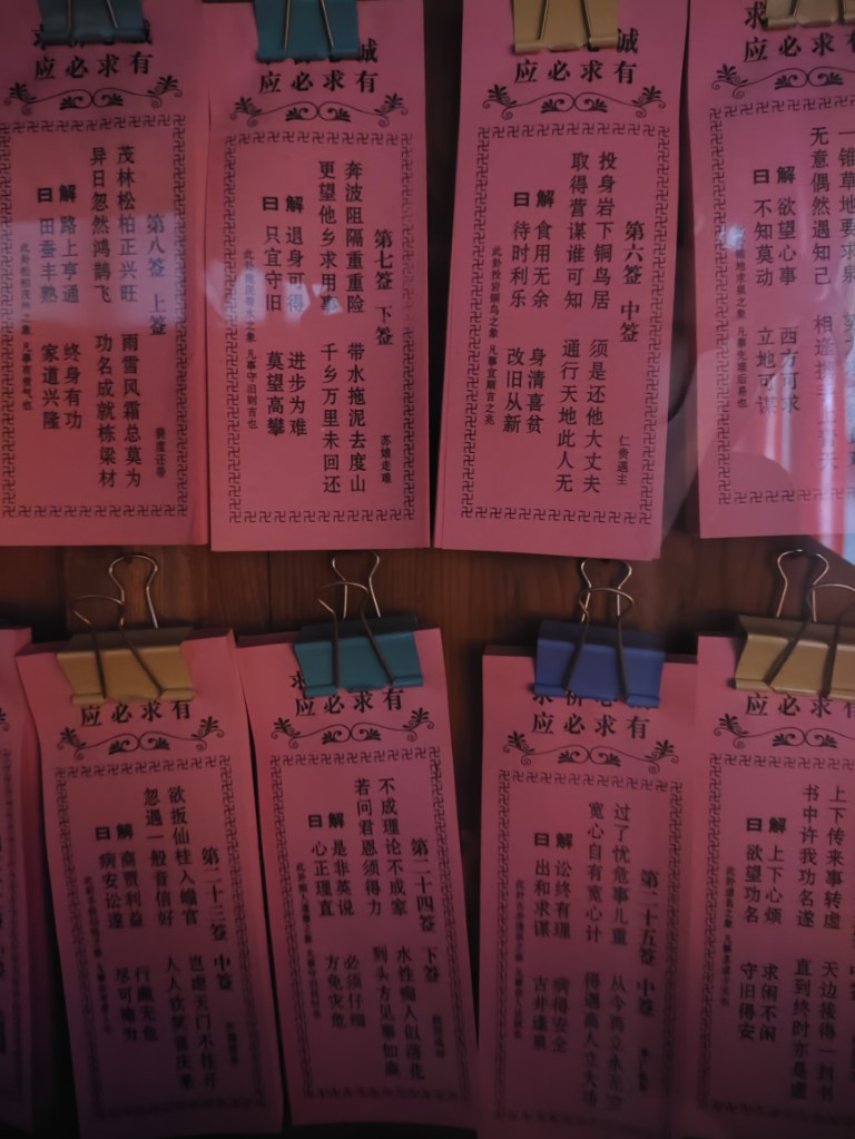 1777799343112965.jpg IMG_20250928_095024 (中).jpg