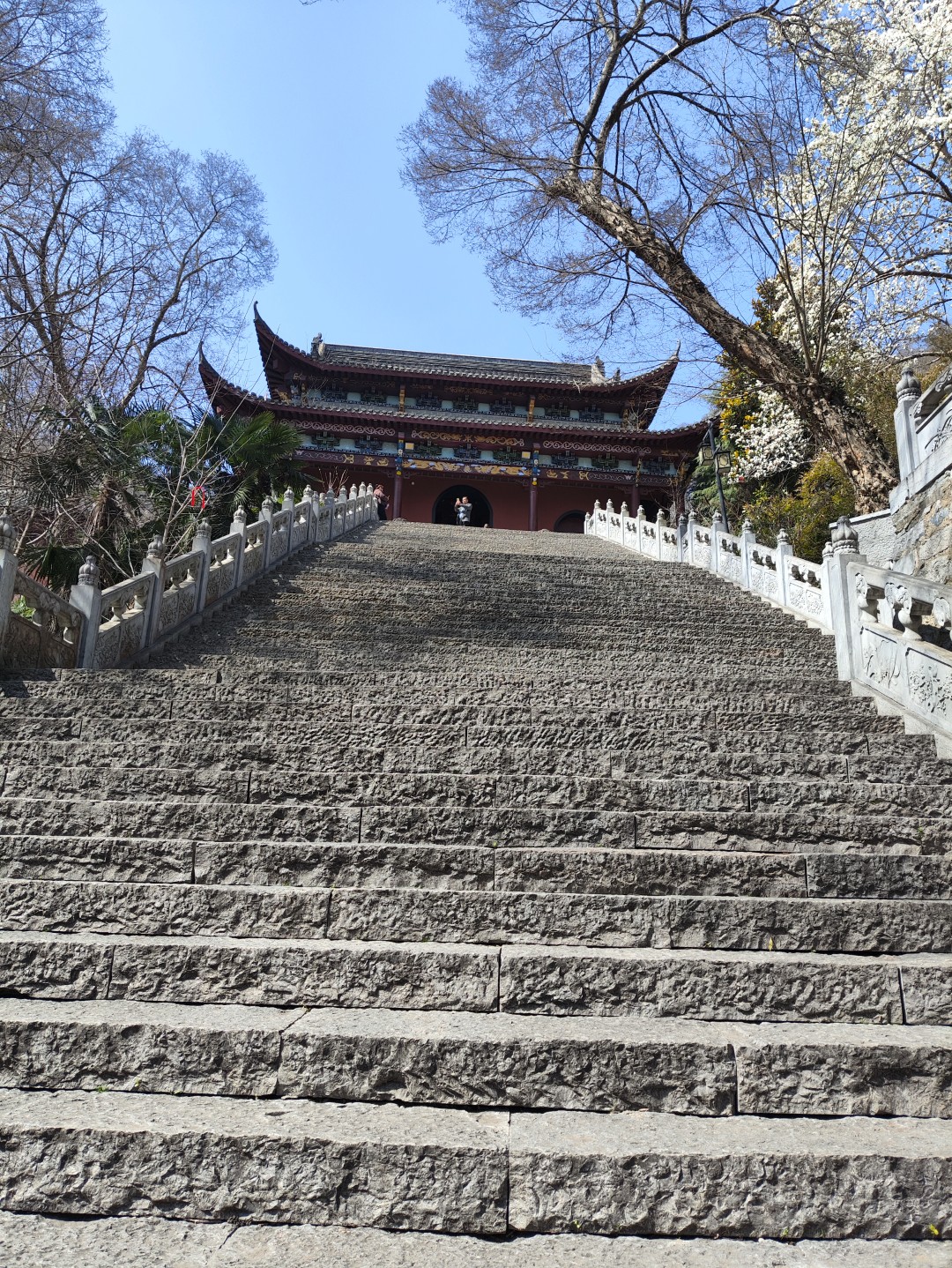 1778490705274715.jpg IMG_20260313_110256 (大).jpg