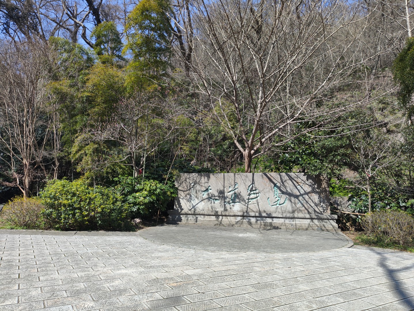 1778490706683985.jpg IMG_20260313_110131 (大).jpg