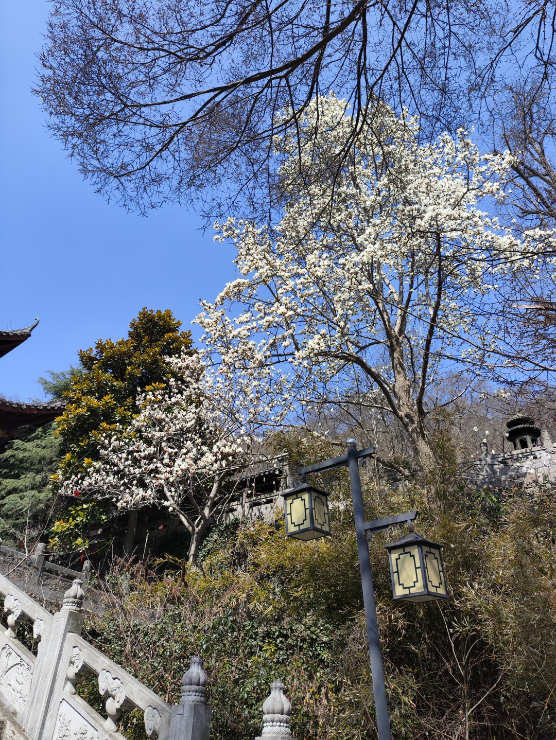 1778490709473681.jpg IMG_20260313_110330 (大).jpg