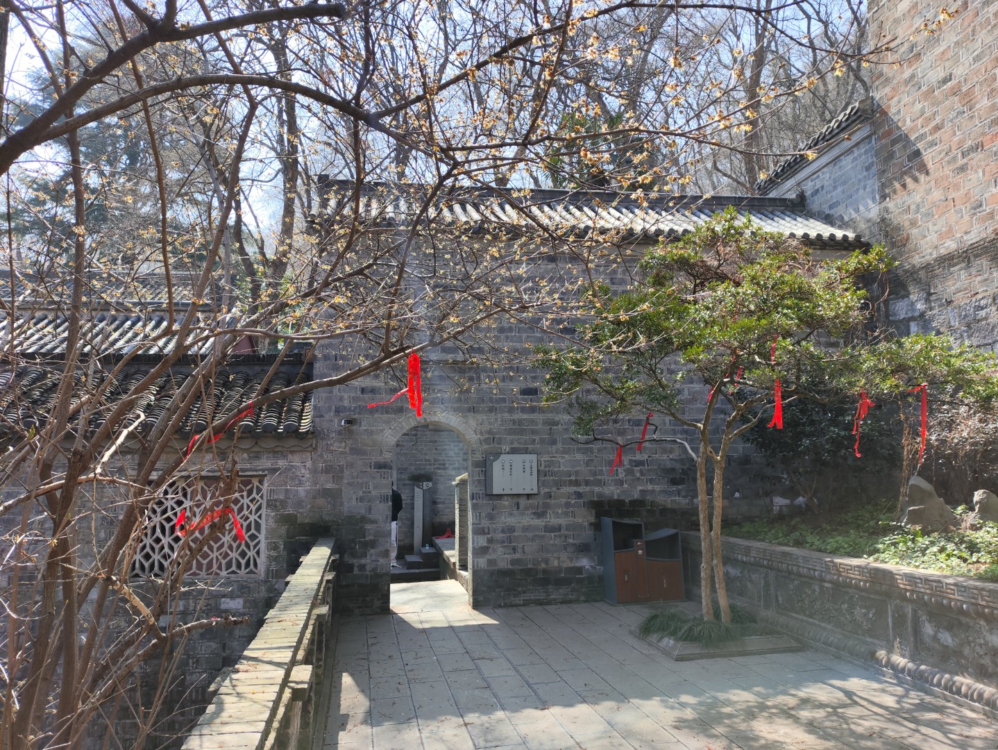 IMG_20260313_110756 (大).jpg