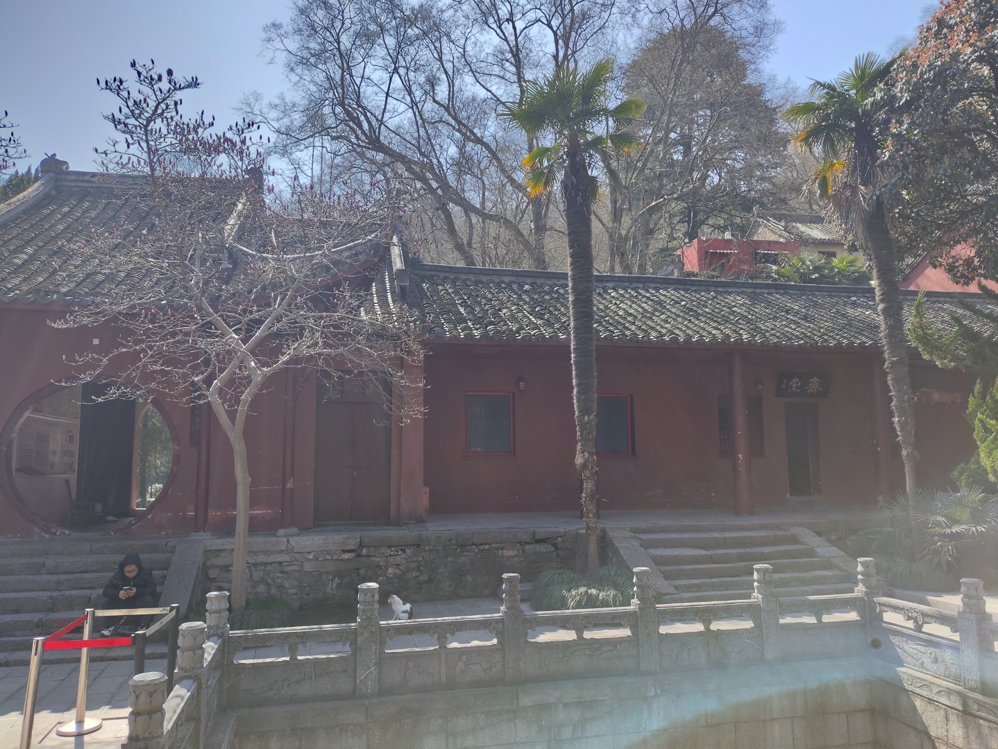 IMG_20260313_110509 (大).jpg