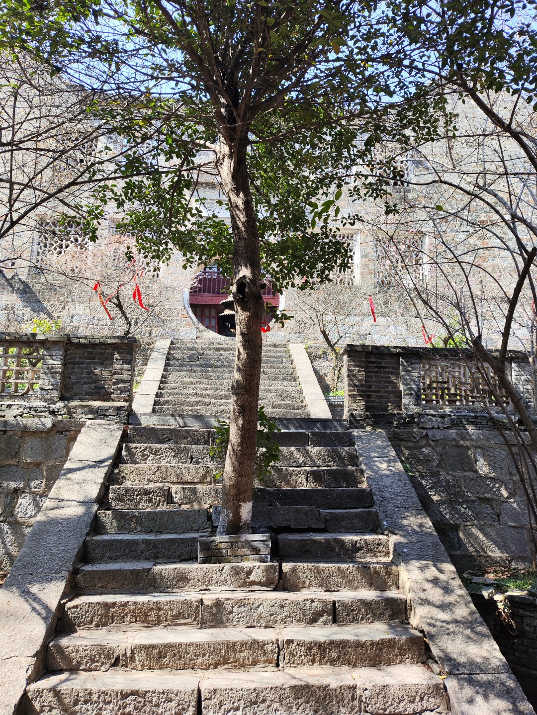 IMG_20260313_110653 (大).jpg