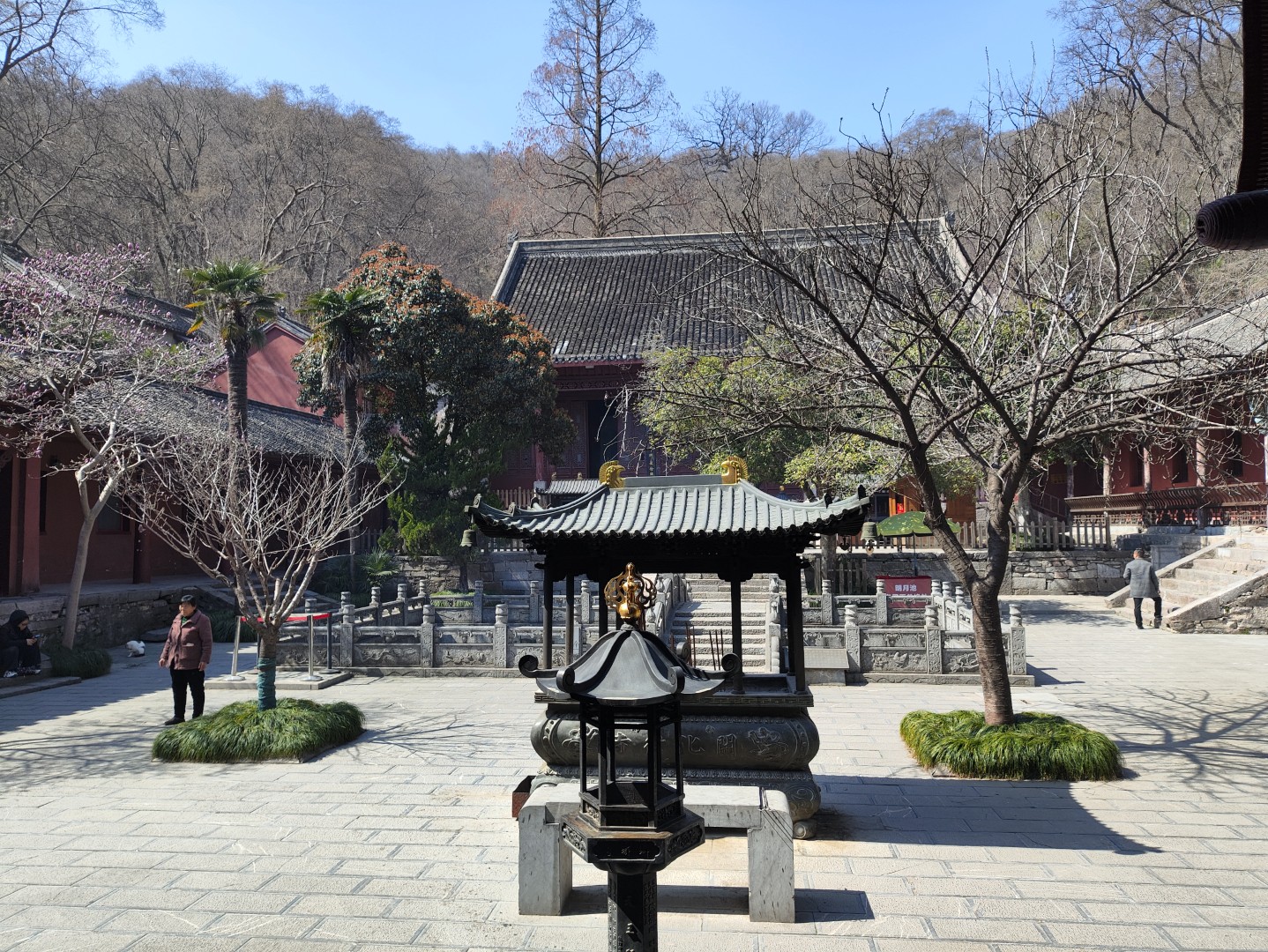 IMG_20260313_110431 (大).jpg