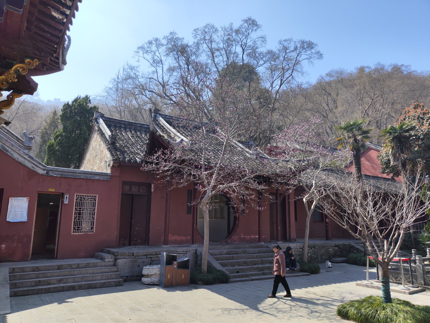 IMG_20260313_110437 (大).jpg